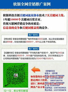 信阳网络营销推广 软银科技助力河南网站品牌与技术双提升