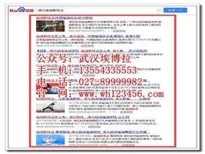 武汉B2B技术推广 专业网络推广公司的策略与实践